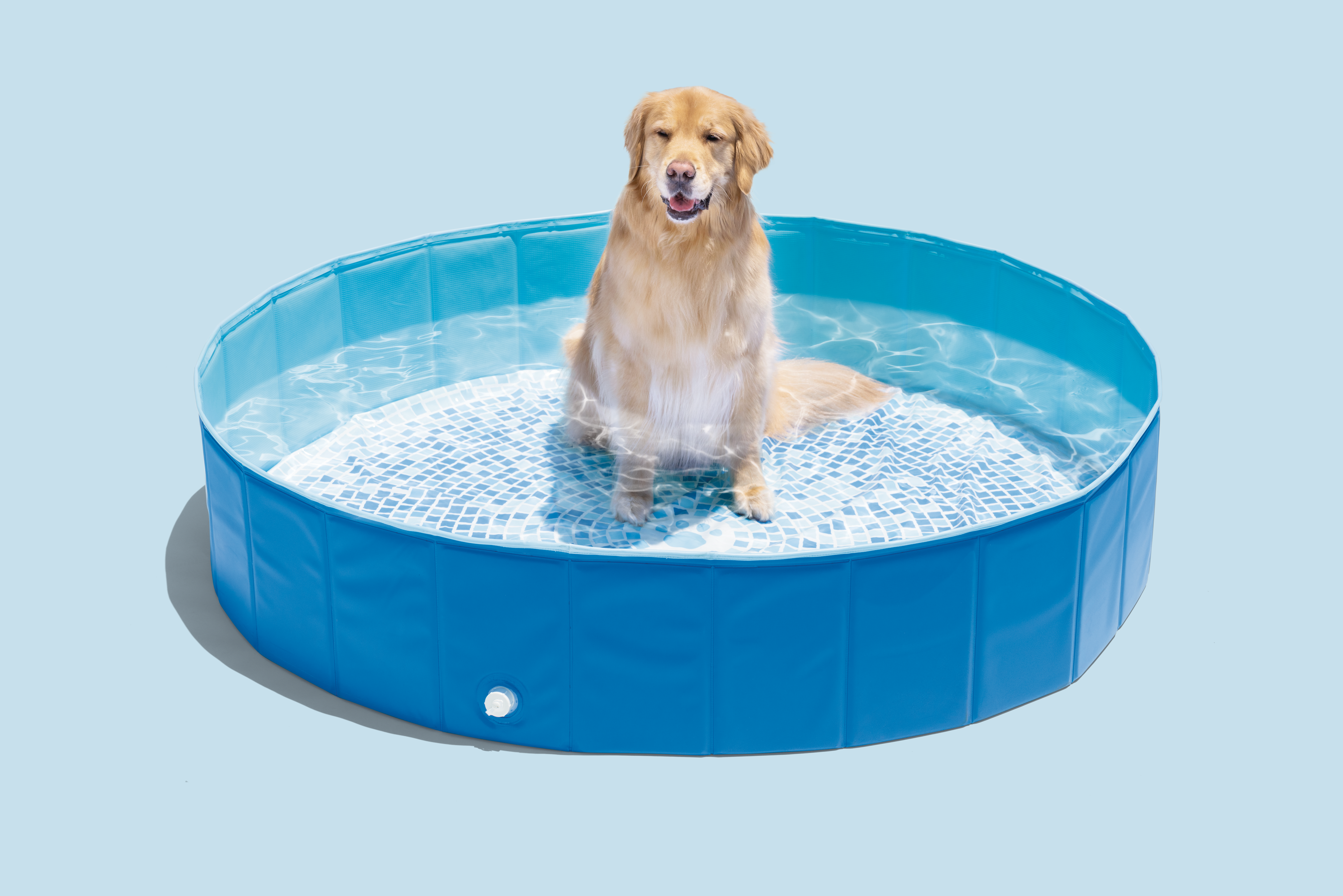 Круглый бассейн сложен для домашних животных