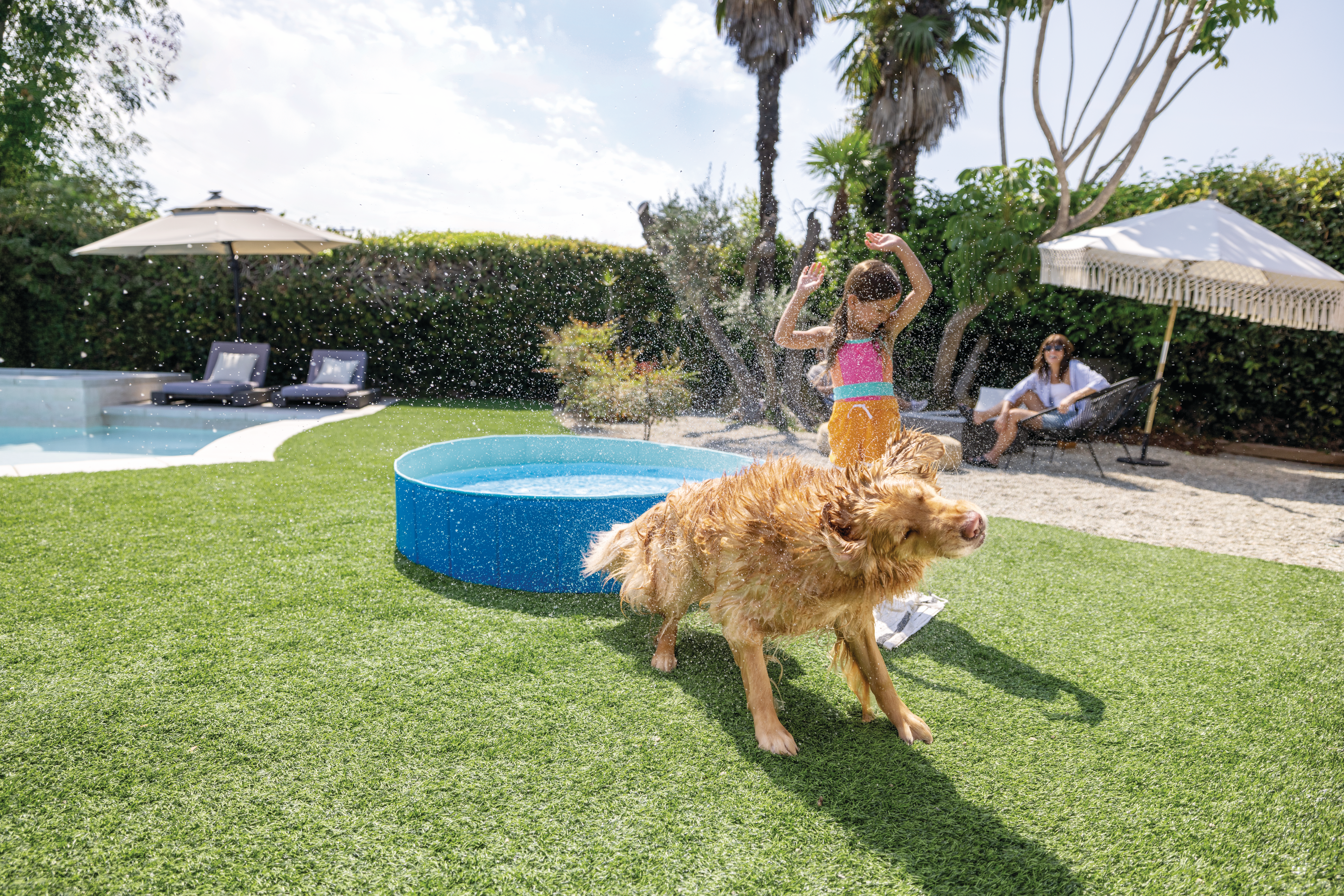 Круглый бассейн сложен для домашних животных