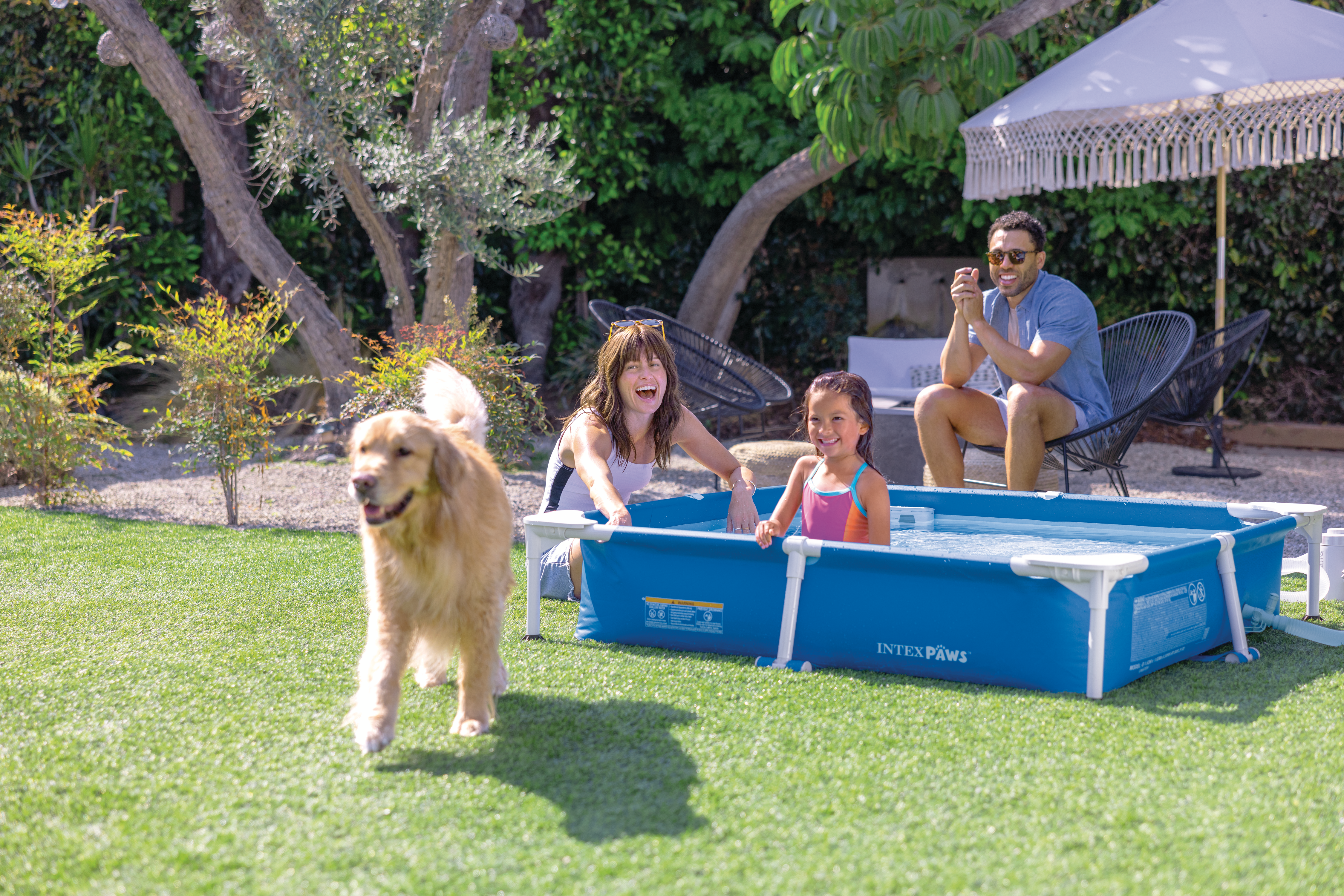 Каркасний басейн для домашніх тварин