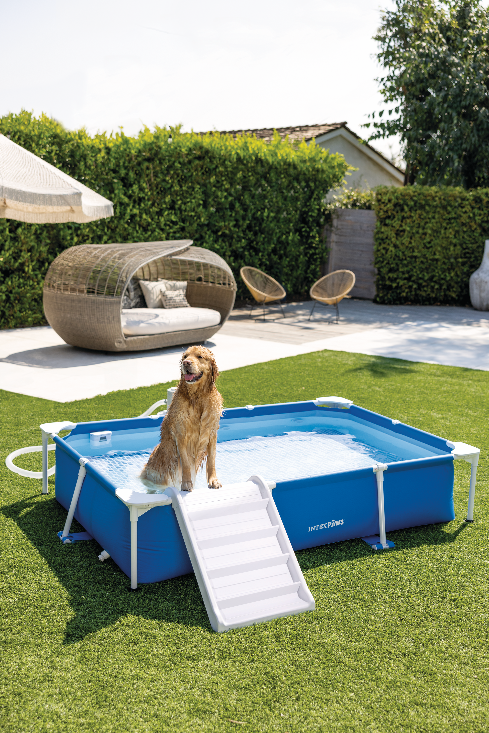 Прямокутний басейн для домашніх тварин