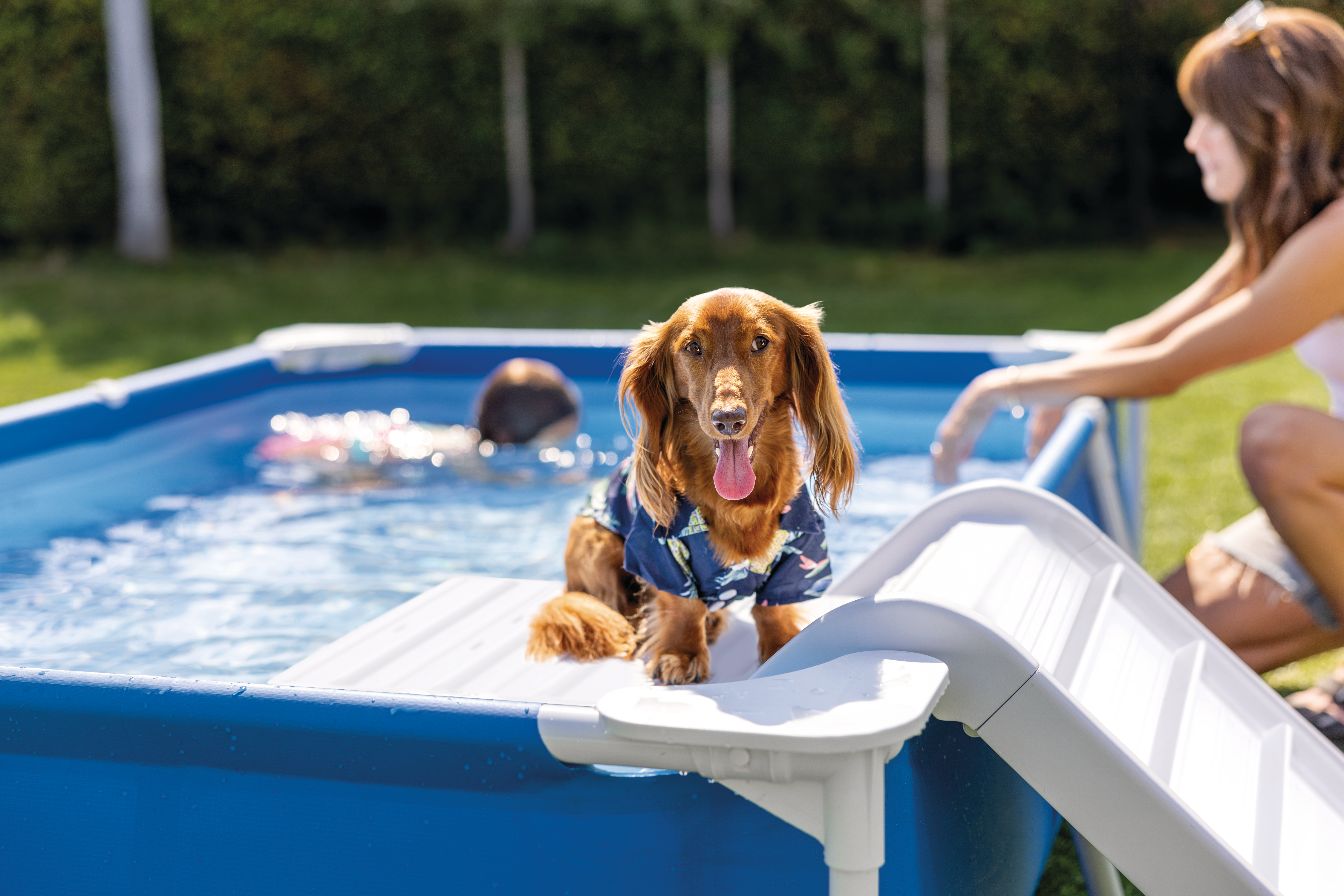 Прямокутний басейн для домашніх тварин