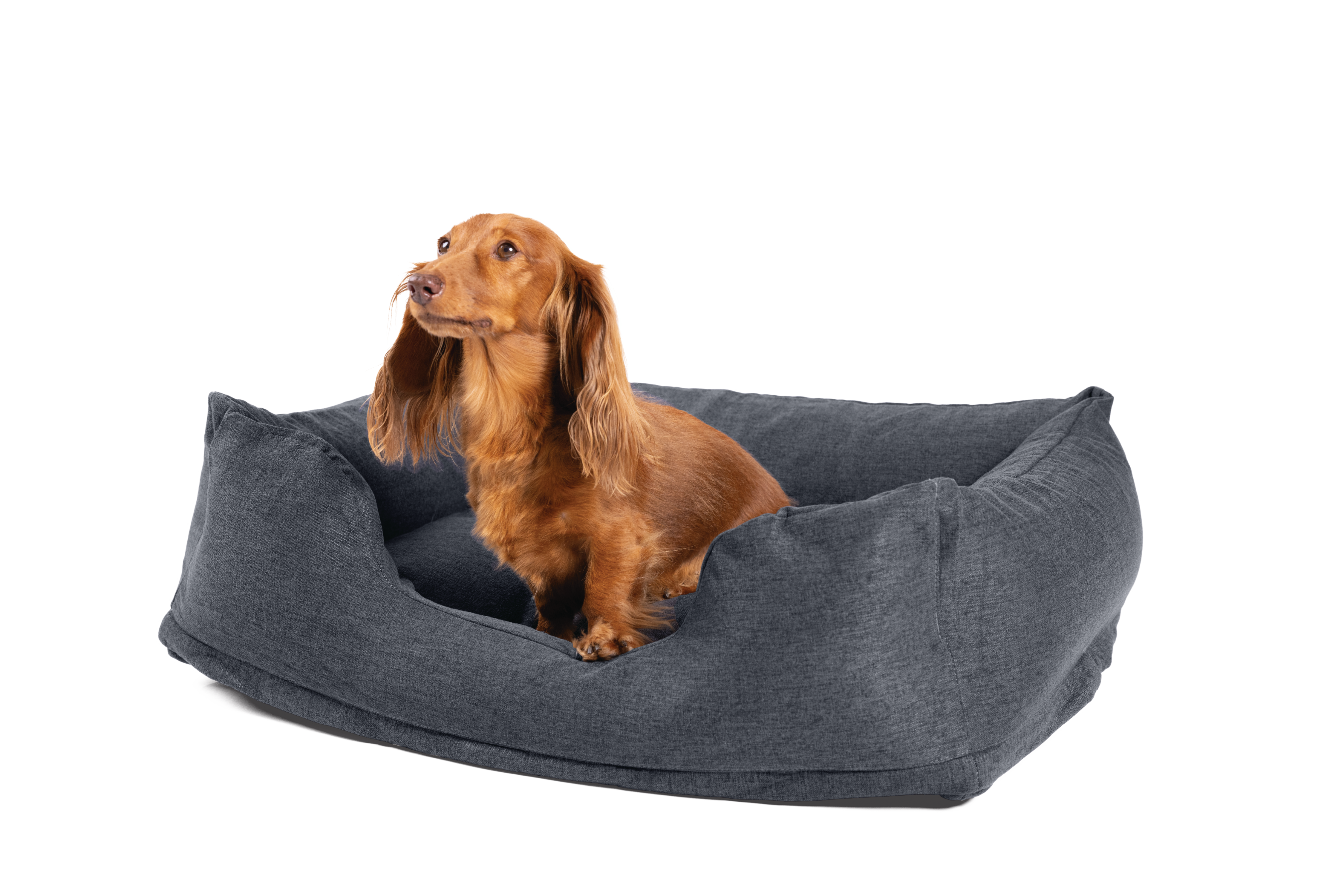 Лежак для домашных животных Small