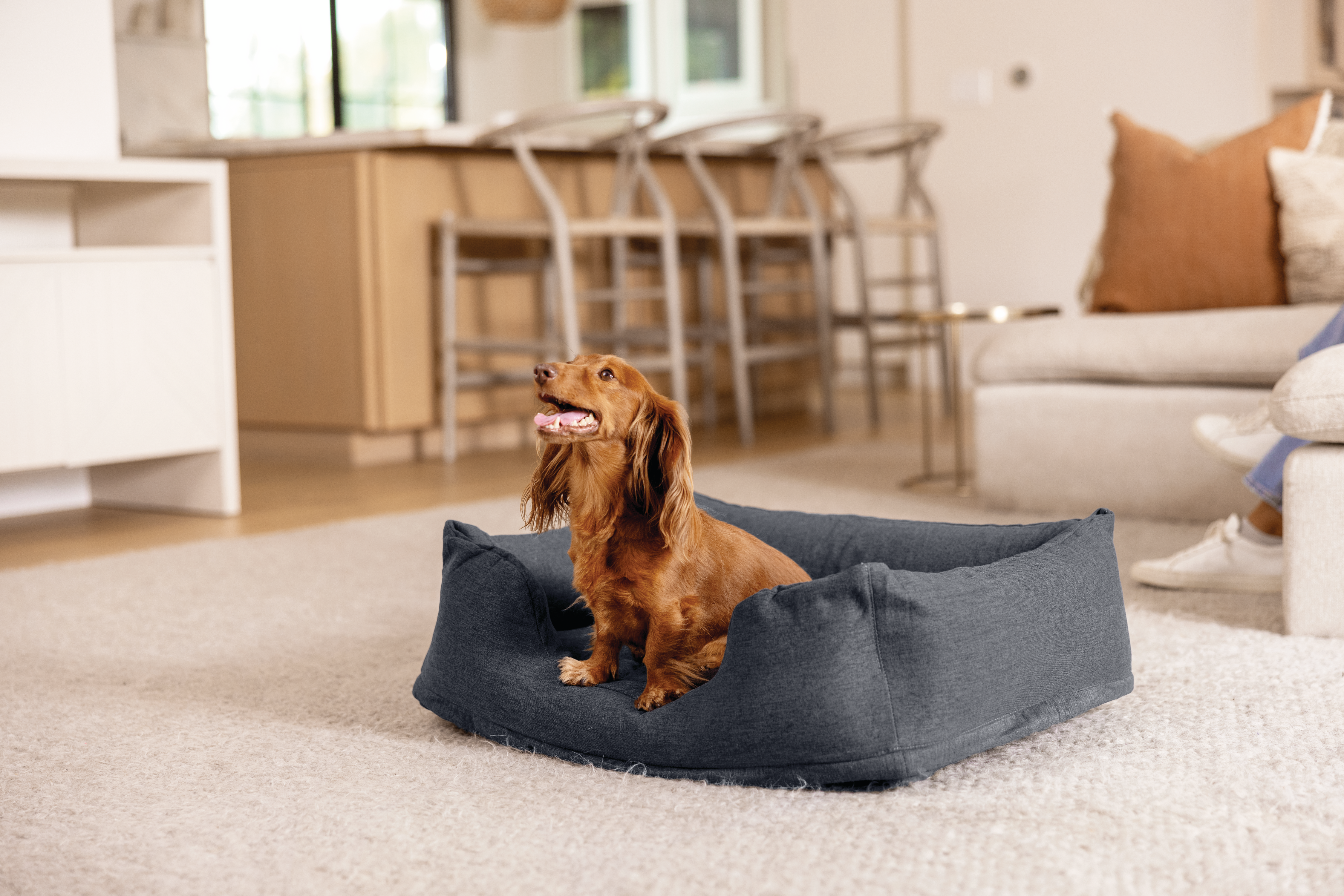 Лежак для домашных животных Small