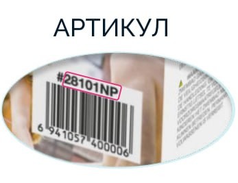 intex