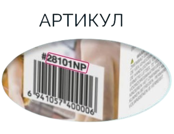 intex